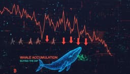 8만 달러 붕괴…비트코인, 신규 자금 실종에 '하방 압력' 가중