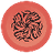 image coin