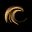 image coin