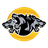 image coin