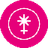 image coin