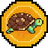image coin