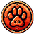 image coin