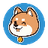 image coin