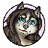 image coin