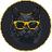 image coin