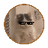 image coin