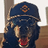 image coin