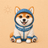 image coin